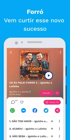 Sua Música: Hits do Nordeste Captura de tela 1