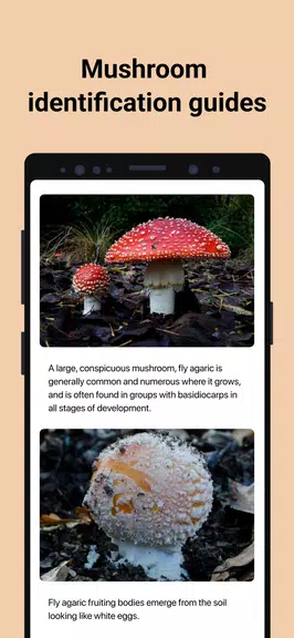 Picture Mushroom - 버섯을 인식 스크린샷 3