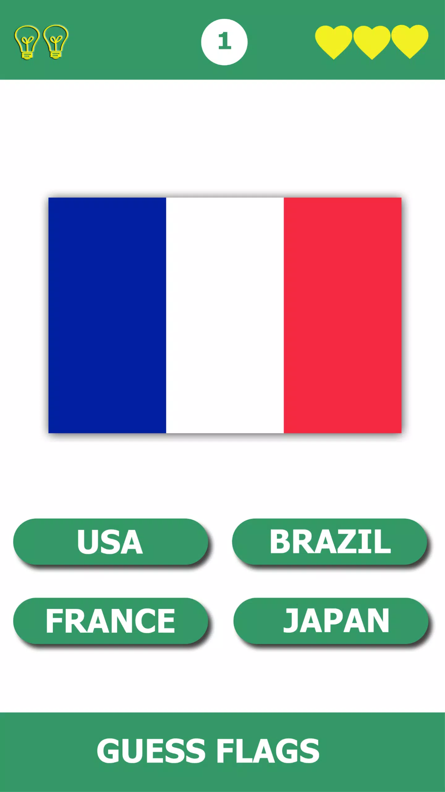 Flag Quiz Gallery Capture d'écran 3