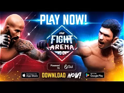 One Fight Arena Gameplay