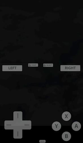 Fast DS Emulator - For Android スクリーンショット 1